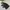 Jacket winter mountain parka goose down bulu angsa merrell photo 1