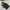 Jacket Winter Mountain Parka Goose Down Bulu Angsa Merrell