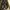 AMBASSADOR LEATHER OXFORD SHOES ( Dr. Airwair Martens ) photo 3