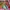 Barbie Set All New Lama Kesimpen Aja photo 2