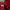 Vintage 90's AC Milan Lotto Thirdkit Roberto Baggio Shorts photo 8