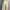 Avant Garde Midi dress Wanita  photo 4