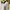 Minimalist Casual Blouse Wanita white gray photo 3