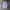 SweatPants Ballon AshGrey  photo 1