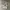 SweatpantsBallon Grey Art photo 1