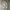 SweatpantsBallon Grey Art photo 4