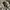 SweatpantsBallon Grey Art photo 5