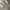 SweatpantsBallon Grey Art photo 6
