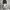 SweatpantsBallon Grey Art photo 2