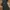 Poodelo Flare Jeans Boot Cut photo 3