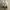 Adidas Stan Smith photo 1
