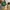 Adidas Stan Smith photo 4