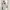 White dress photo 3