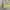 GUESS HANDBAG/Shoulder BAG YELLOW photo 4