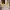 GUESS HANDBAG/Shoulder BAG YELLOW photo 2