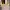 GUESS HANDBAG/Shoulder BAG YELLOW