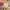 GUESS HANDBAG/Shoulder BAG YELLOW photo 6