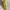 GUESS HANDBAG/Shoulder BAG YELLOW photo 8