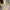 GUESS HANDBAG/Shoulder BAG YELLOW photo 1