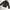 Black Yak Outdoor Mountain Hiking Jacket Extreme Gorpcore photo 3