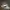 Nike Cortez og white photo 1