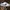 Nike Cortez og white photo 3