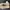 Vivaia Pointed Toe Heels  photo 4