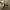 Vivaia Pointed Toe Heels  photo 3