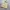 Spao Canvas Shoulder Tote , Tote bag , tote canvas , tas sle photo 2
