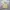 Spao Canvas Shoulder Tote , Tote Bag , Tote Canvas , Tas Sle