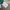 Sporting Lisbon Jersey Home 24/25 photo 8