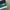 Sporting Lisbon Jersey Home 24/25 photo 6
