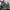 Sporting Lisbon Jersey Home 24/25 photo 2