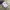 Real Madrid Jersey Third 24/25 photo 7