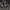 Real Madrid Jersey Third 24/25 photo 2