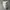 Bellroy Backpack