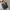 givenchy paris bag photo 5