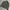 Vintage Adidas 00s windbreaker jacket  photo 1