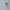 Adidas Adizero Evo SL Triple White photo 1