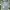 Nike Tech Fleece Nocta Baby Blue 