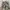 Tbj jeans army cargo pants photo 6
