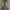 cargo baggy photo 2