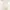 CREAM WHITE TOP (women) photo 1