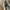 VEJA CAMPO CHROMEFREE LEATHER SNEAKER photo 5