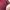 One shoulder maroon  photo 2