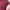 One Shoulder Maroon 