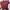 One shoulder maroon  photo 1