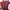 One Shoulder Maroon 