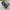 Jacket snowboard winter AOp mountain ssuper cakep photo 4