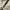 Coach sling bag / hand bag coach / tas tangan coach photo 7